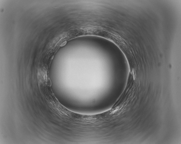 X0000060761155200511141223