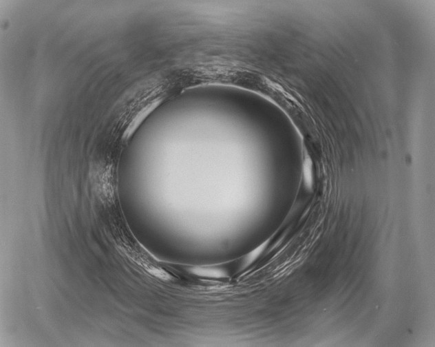 X0000060761156200511141223