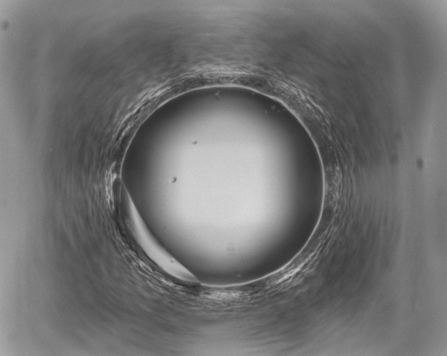 X0000060761157200511141223