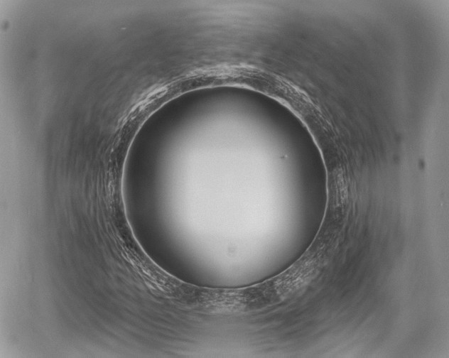 X0000060761158200511141223