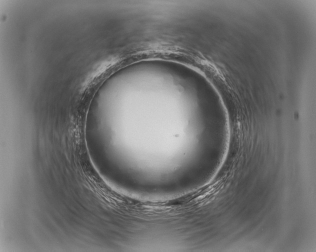 X0000060761159200511141223