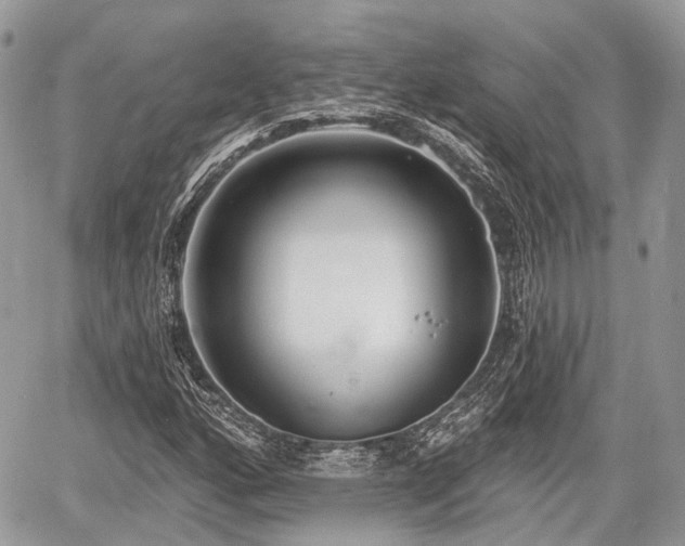 X0000060761160200511141223