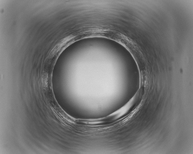 X0000060761161200511141223