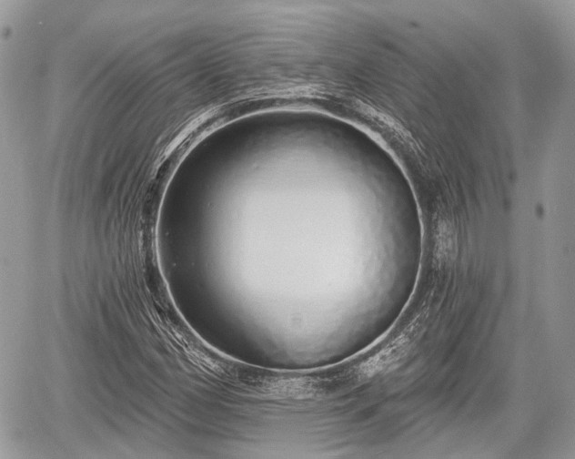 X0000060761162200511141223