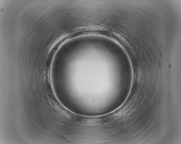 X0000060761163200511141223