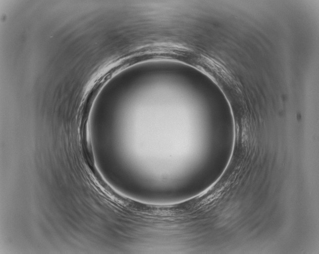 X0000060761164200511141223