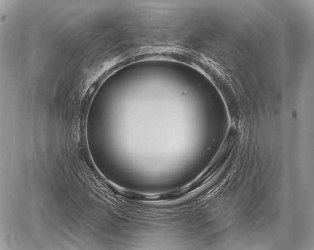 X0000060761165200511141223