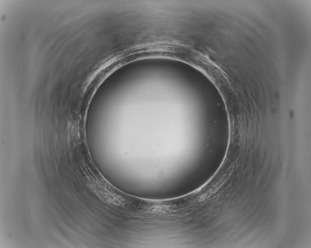 X0000060761166200511141223