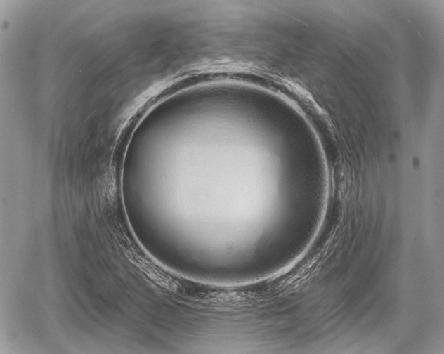 X0000060761167200511141223