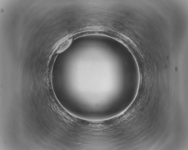 X0000060761168200511141223