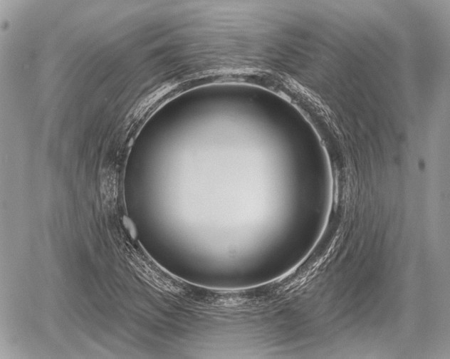 X0000060761169200511141223