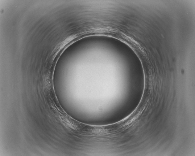 X0000060761170200511141223