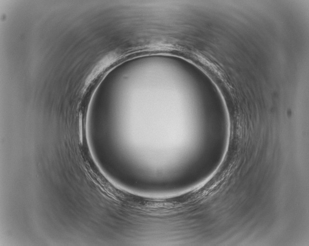 X0000060761171200511141223