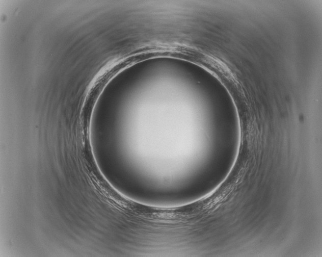 X0000060761172200511141223