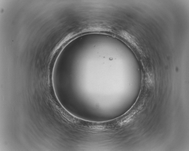 X0000060761173200511141223