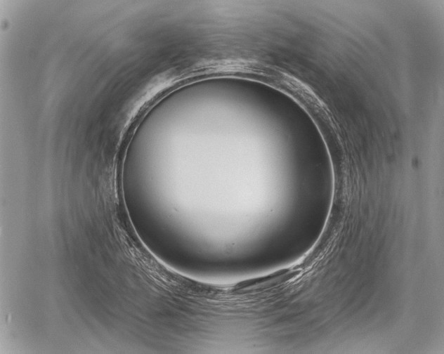 X0000060761174200511141223