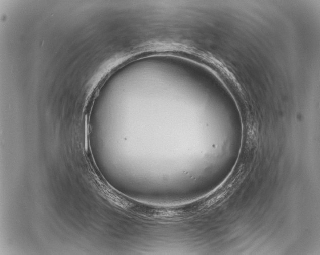 X0000060761175200511141223