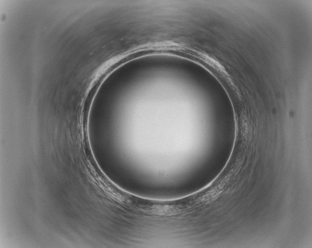 X0000060761176200511141223