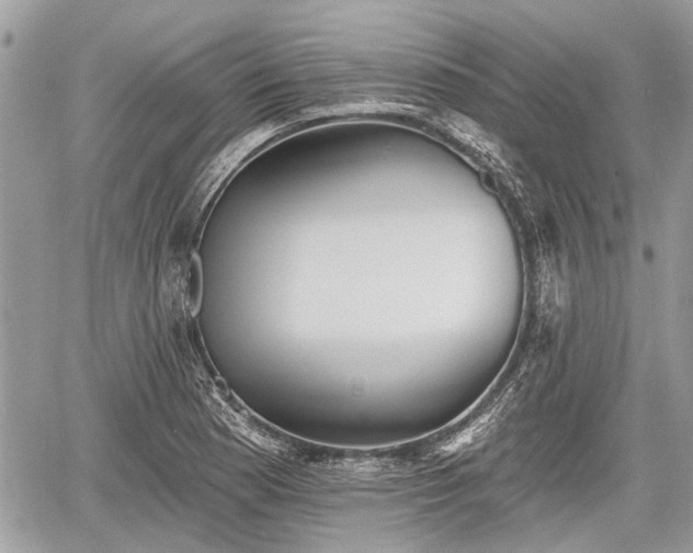 X0000060761177200511141223