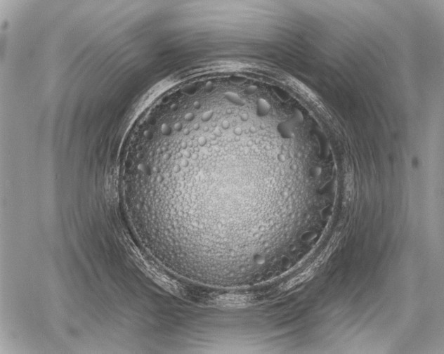 X0000060761178200511141223