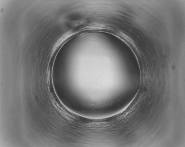 X0000060761179200511141223