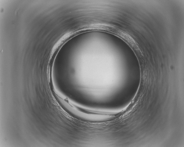 X0000060761180200511141223