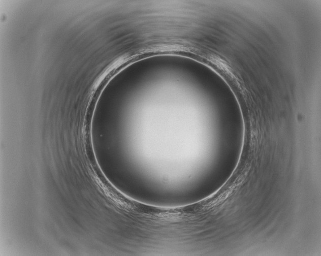 X0000060761181200511141223