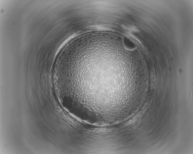 X0000060761182200511141223