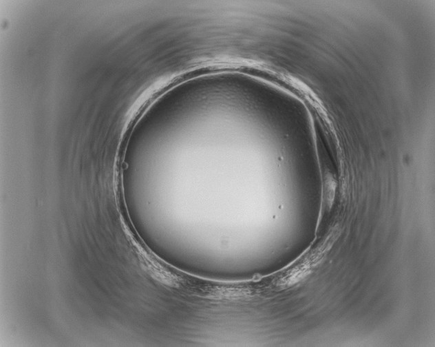 X0000060761183200511141223