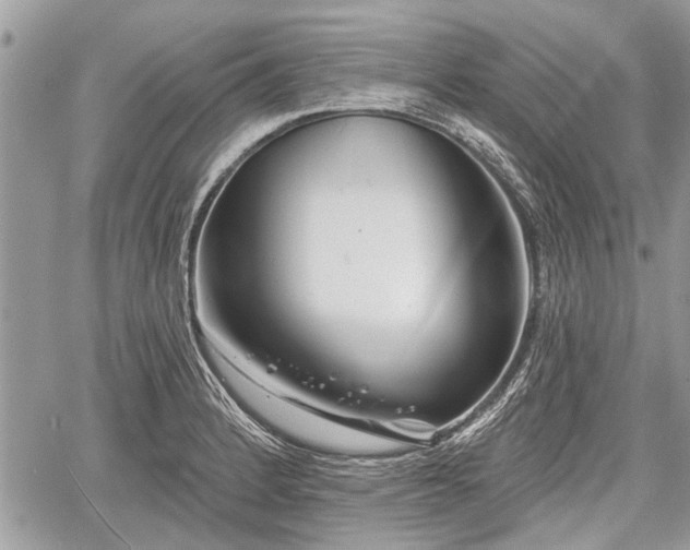 X0000060761184200511141223