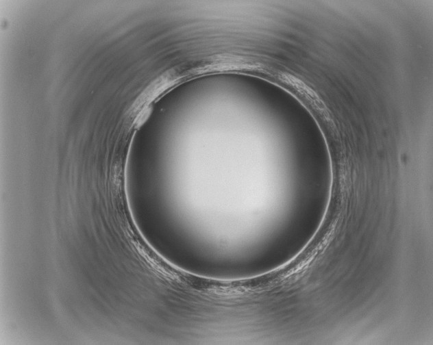 X0000060761185200511141223