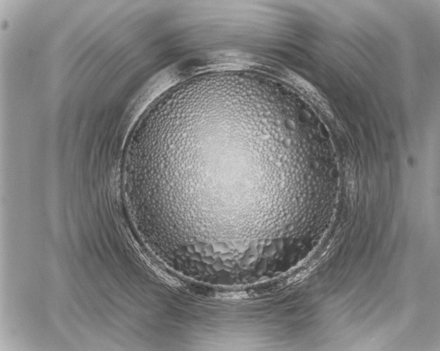 X0000060761186200511141223