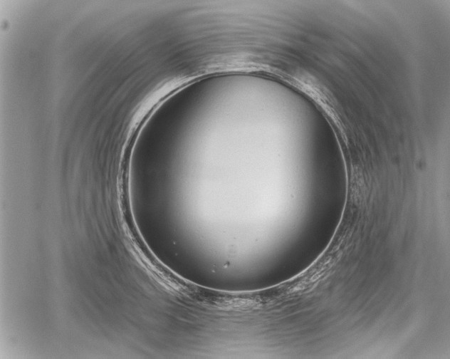 X0000060761187200511141223