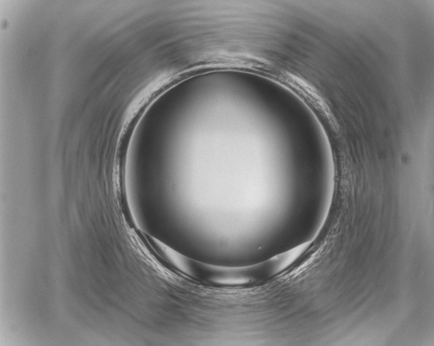 X0000060761188200511141223