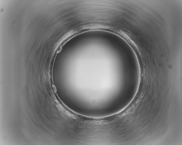 X0000060761189200511141223