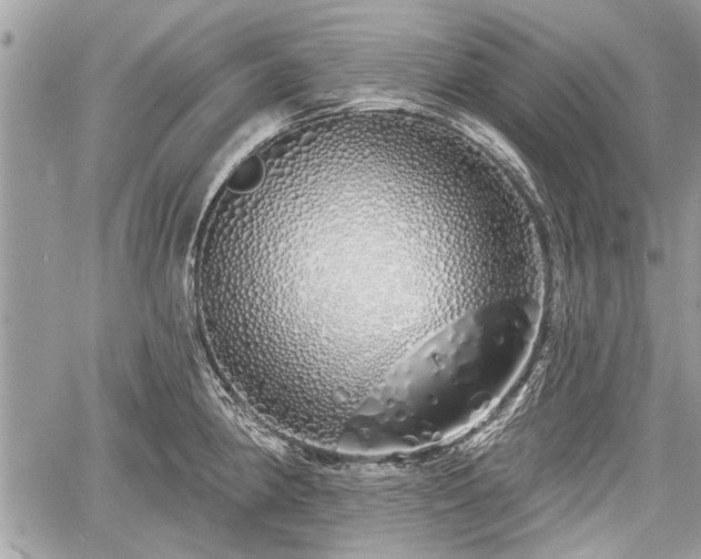 X0000060761190200511141223