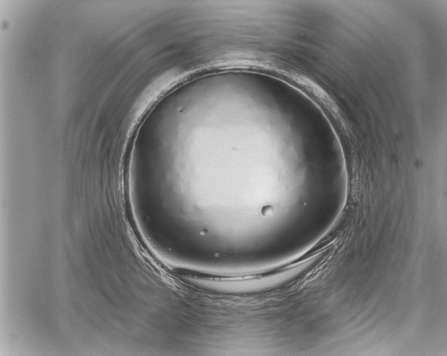 X0000060761191200511141223