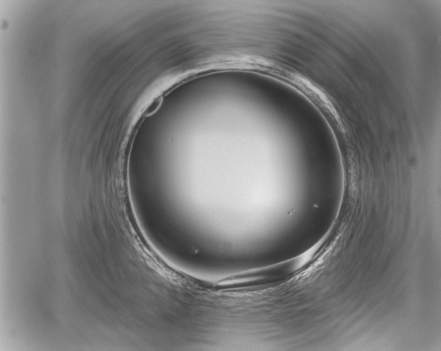 X0000060761192200511141223