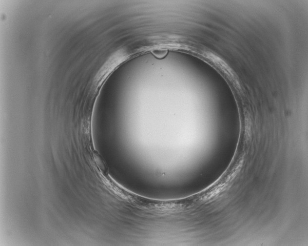 X0000060761193200511141223