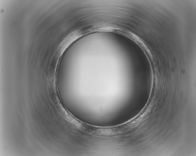 X0000060761194200511141223