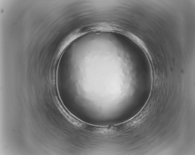 X0000060761195200511141223