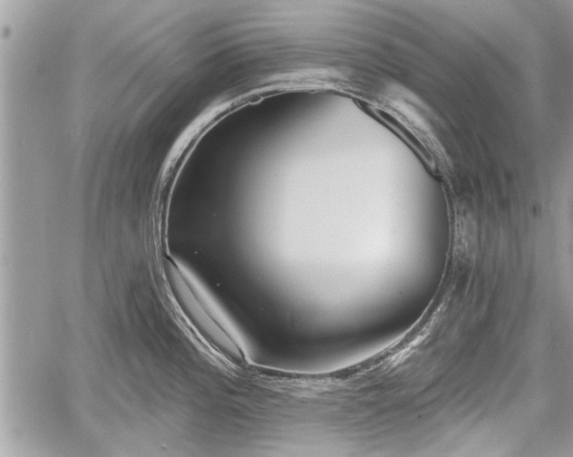 X0000060761196200511141223