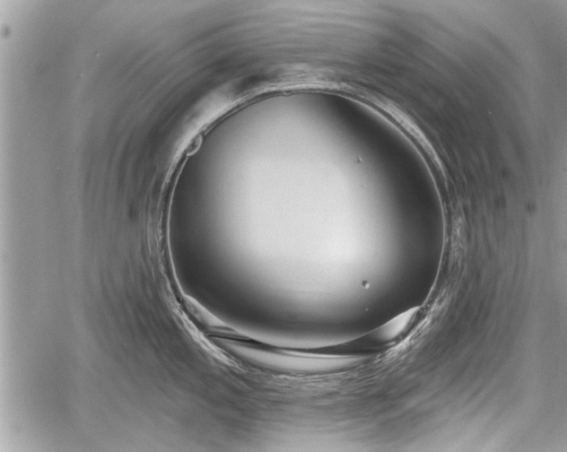 X0000060761197200511141223