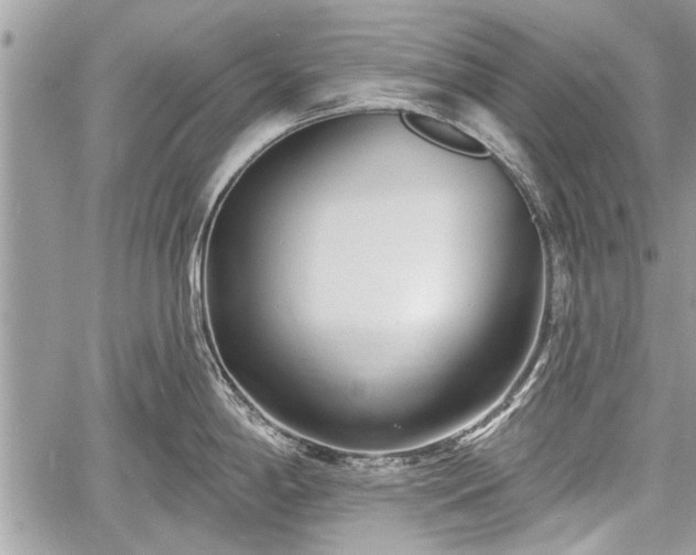 X0000060761198200511141223