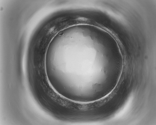 X0000060761199200511141223