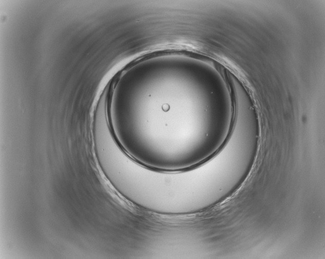 X0000060761200200511141223