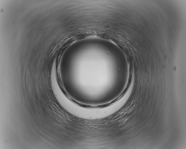 X0000060761202200511141222