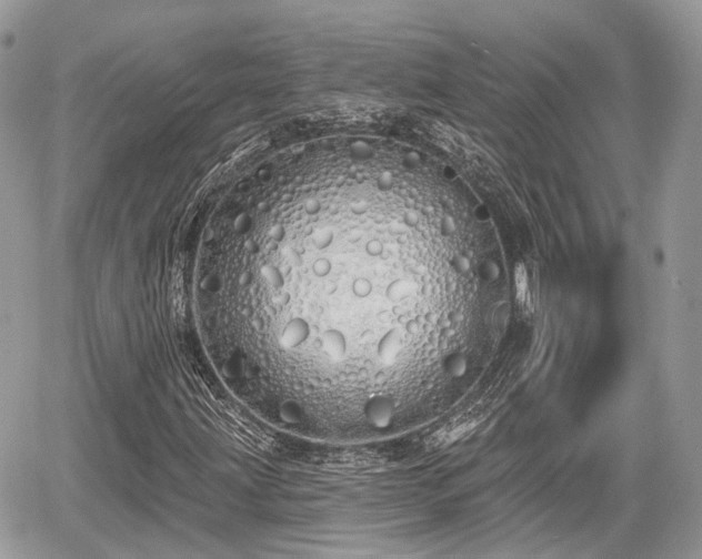 X0000060761203200511141222