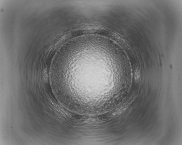 X0000060761204200511141222