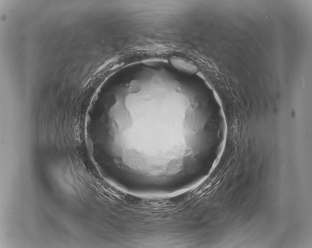 X0000060761205200511141222